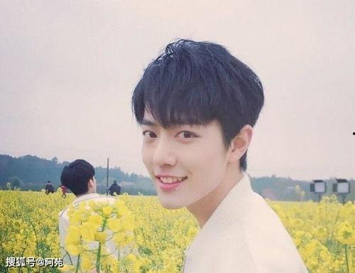 肖战最新爆料投稿,幕后故事与成长心路历程