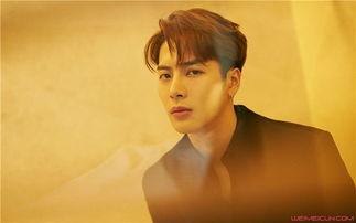 王嘉尔爆料圈内女友视频,揭秘圈内女友神秘视频幕后真相