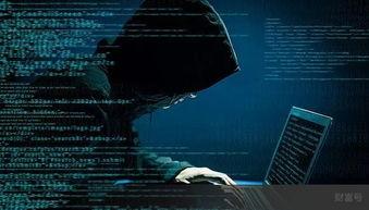 超级黑客爆料视频下载